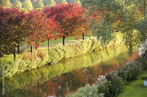 L'automne à Chantilly