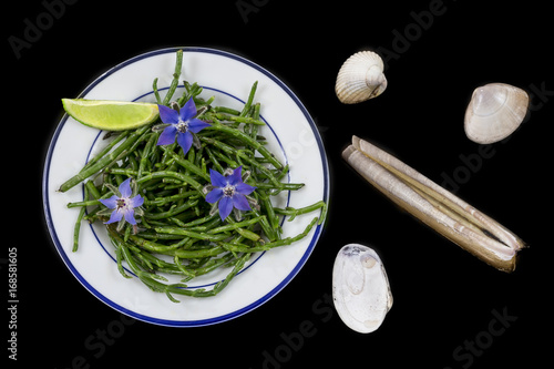 Samphire a coastal herb also known as sea beans glasswort pickleweed or Salicornia photo