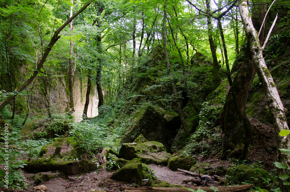 Stunning beauty of the mountains of the Northwest Caucasus . Waterfalls Stunning beauty of the mountains of the Northwest Caucasus . Waterfalls