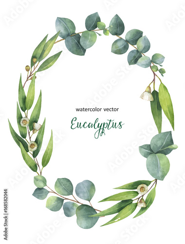 Watercolor vector oval wreath with green eucalyptus leaves and branches.