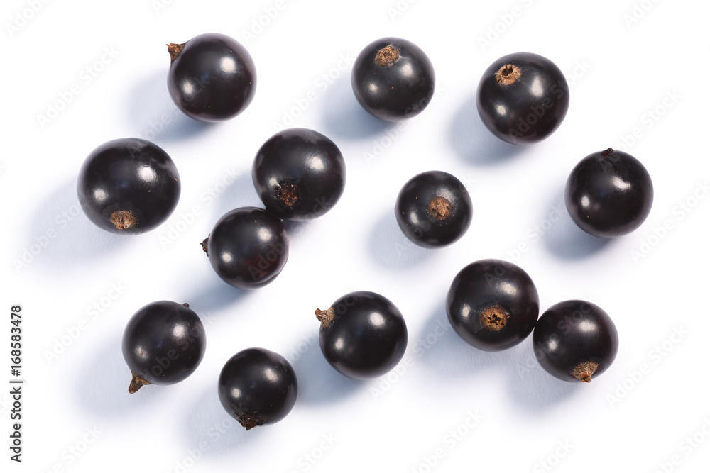 Blackcurrants Ribes nigrum, top view, paths Blackcurrants Ribes nigrum, top view, paths