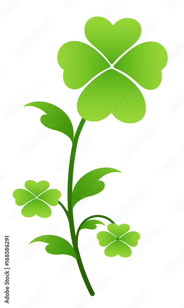 Obraz premium Shamrock Leaves Branch