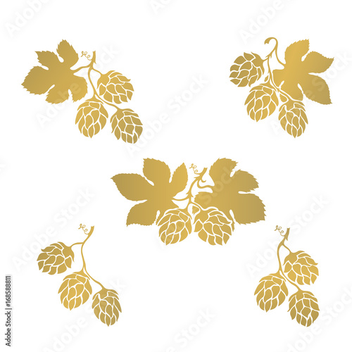Hops cone hand drawn icon set