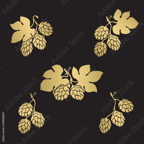 Hops cone hand drawn icon set