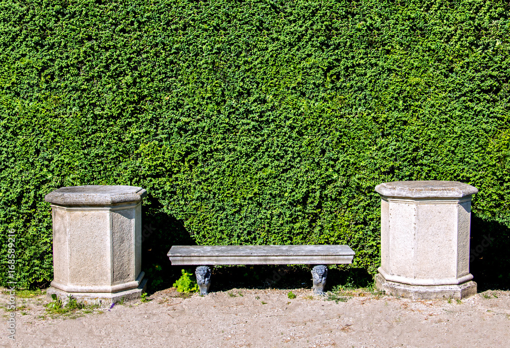 stone bench in the park with green hedgerow stone bench in the park with green hedgerow