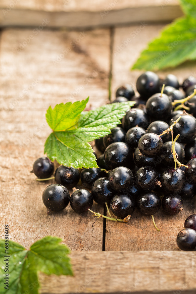 black currant on a wooden table. black currant on a wooden table.