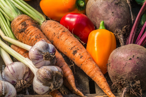 Obraz na plátně Assortment of fresh vegetables close up.