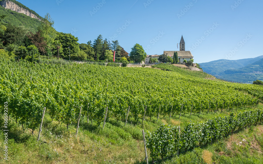 the Church of the idyllic village of Cortaccia. Cortaccia extends on the sunny side of the wine road. South Tyrol, Italy.