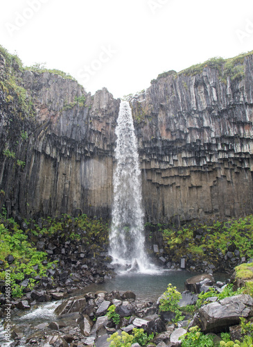 View of famous Svartifoss in Skaftafell National Park  Iceland