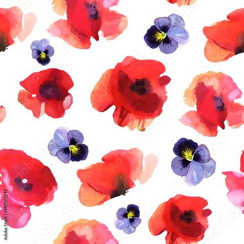 watercolor poppy, hand painted draw