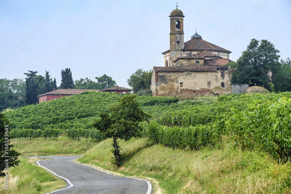 Oltrepo Piacentino (Italy), rural landscape at summer