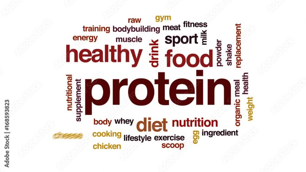 Protein animated word cloud, text design animation. Protein animated word cloud, text design animation.