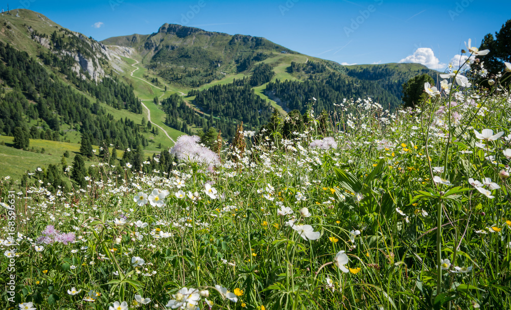 Landscape from Obereggen, Nova Ponente, Bolzano - South Tyrol - Trentino Alto Adige