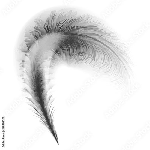 A vector illustration of an old quill and ink.Feather Quill and ink.A retro image of a writing with quill icon. photo