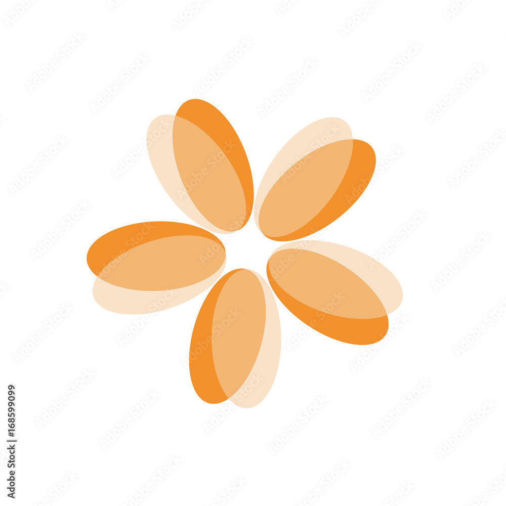Orange flower isolated on white background Orange flower isolated on white background