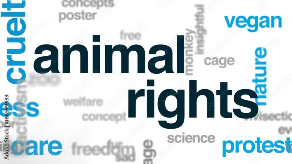 Animal rights animated word cloud, text design animation. Animal rights animated word cloud, text design animation.