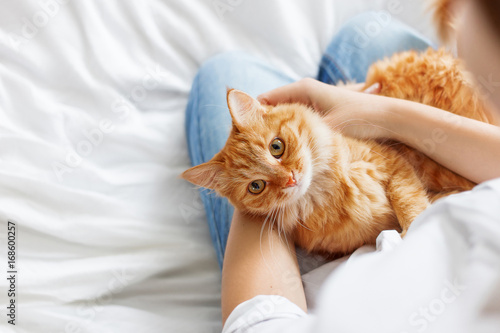 Valokuvatapetti Cute ginger cat lies on woman's hands