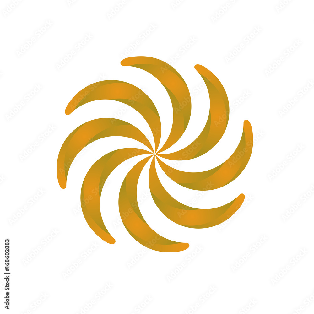 Orange flower isolated on white background Orange flower isolated on white background