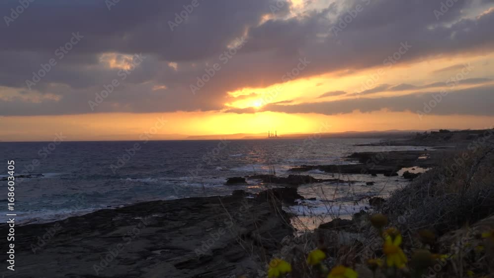 Stunning sunset over the sea through grass and flowers silhouttes. Handheld shot Stunning sunset over the sea through grass and flowers silhouttes. Handheld shot