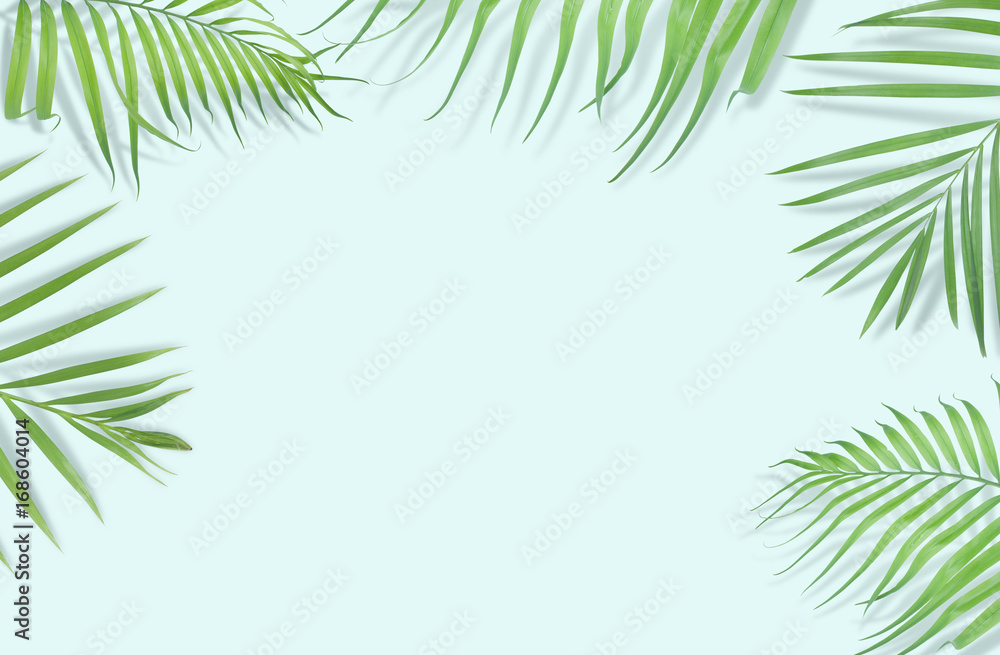 Naklejka premium Tropical palm leaves on light blue background. Minimal nature. Summer Styled. Flat lay. Image is approximately 5500 x 3600 pixels in size