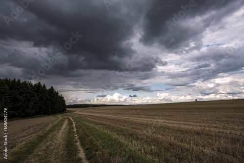 Field path leading to a forest under dark clouds