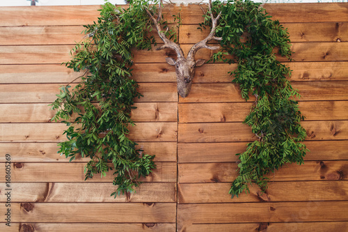 decorated colorful wedding table with wooden background