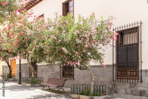 Blumen vor einem Haus in Spanien