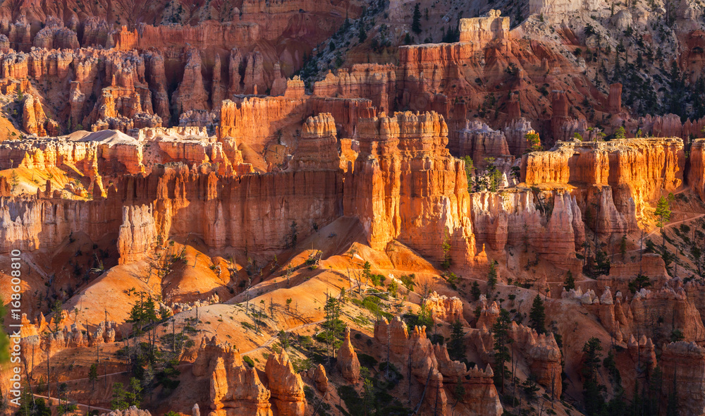 Scenery in Bryce Canyon National Park, under warm sunrise light