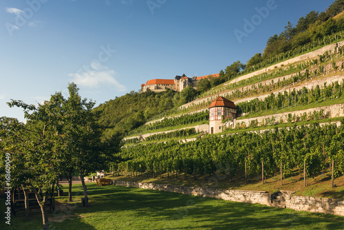 Weinberg und Weinberghaus im Saale-Unstrut-Gebiet mit Schloss Neuenburg im Hintergrund