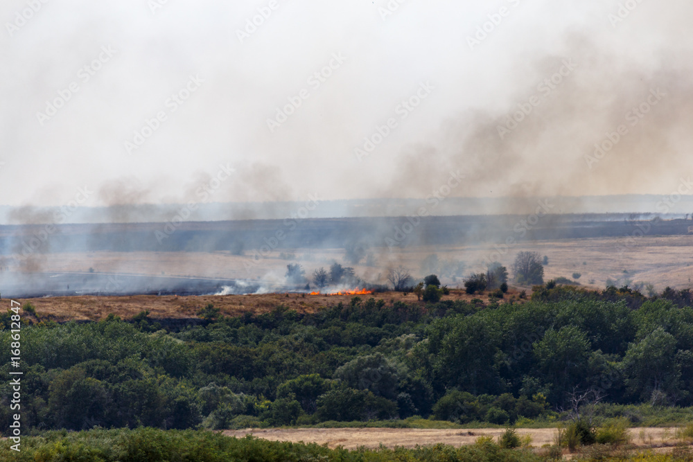 Wildfire or natural fire in fields with trees ands grass, dark smoke