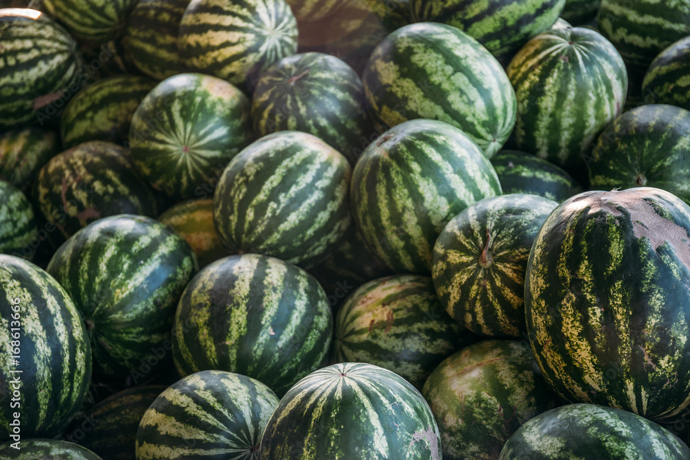 Group of big sweet green watermelons