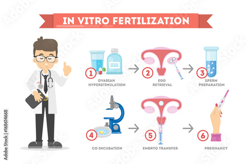 In vitro fertilization.