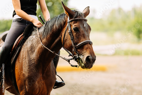 Picture of young pretty girl riding horse © NDABCREATIVITY