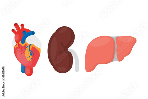Internal organ donation