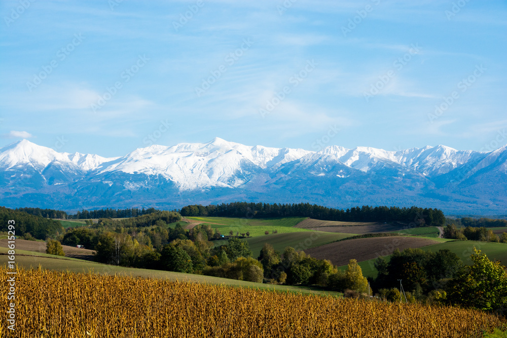 Fototapeta premium 冠雪の山並みと秋の丘陵地帯