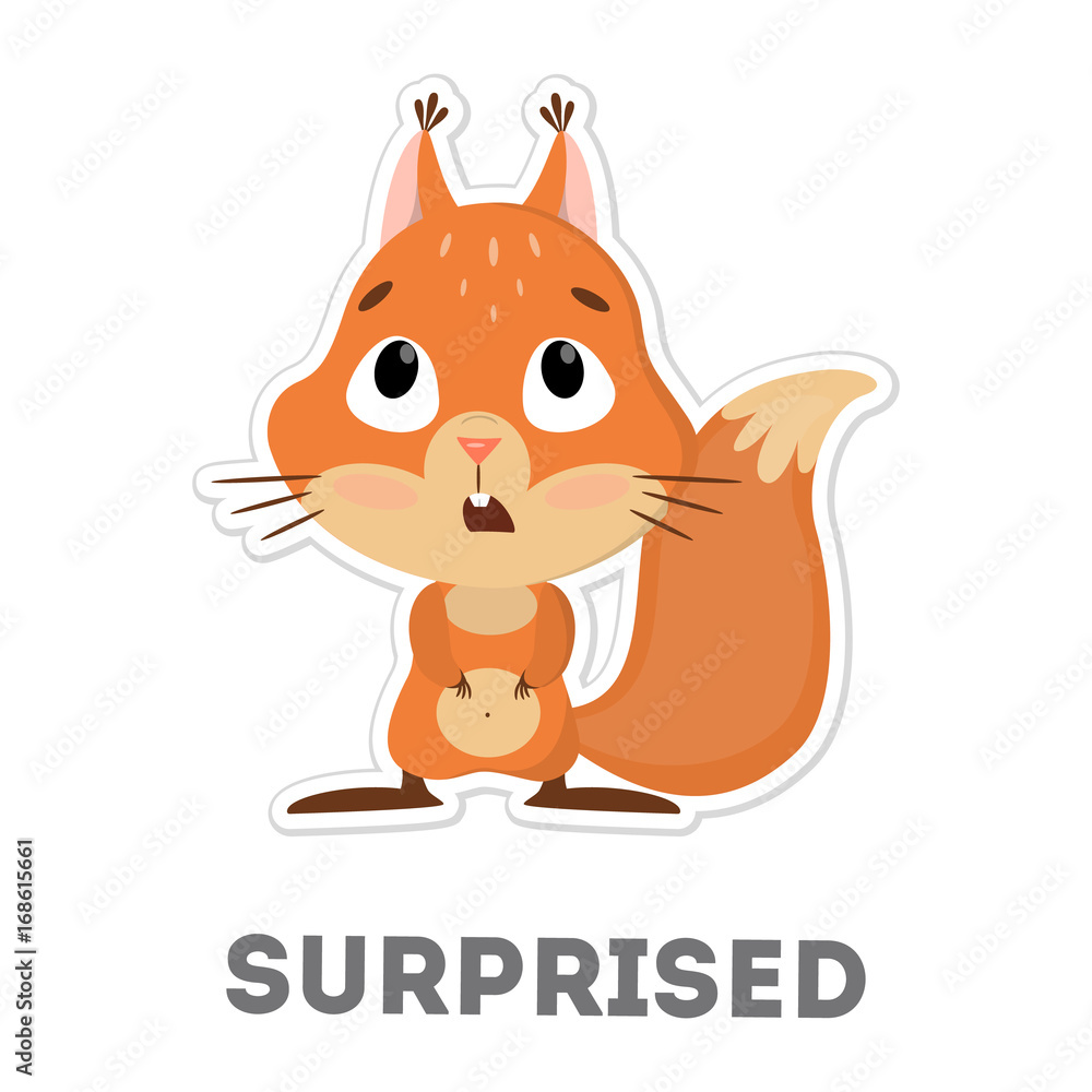 Obraz premium Isolated surprised squirrel.