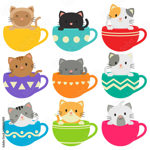 Kitty In Cups Collection