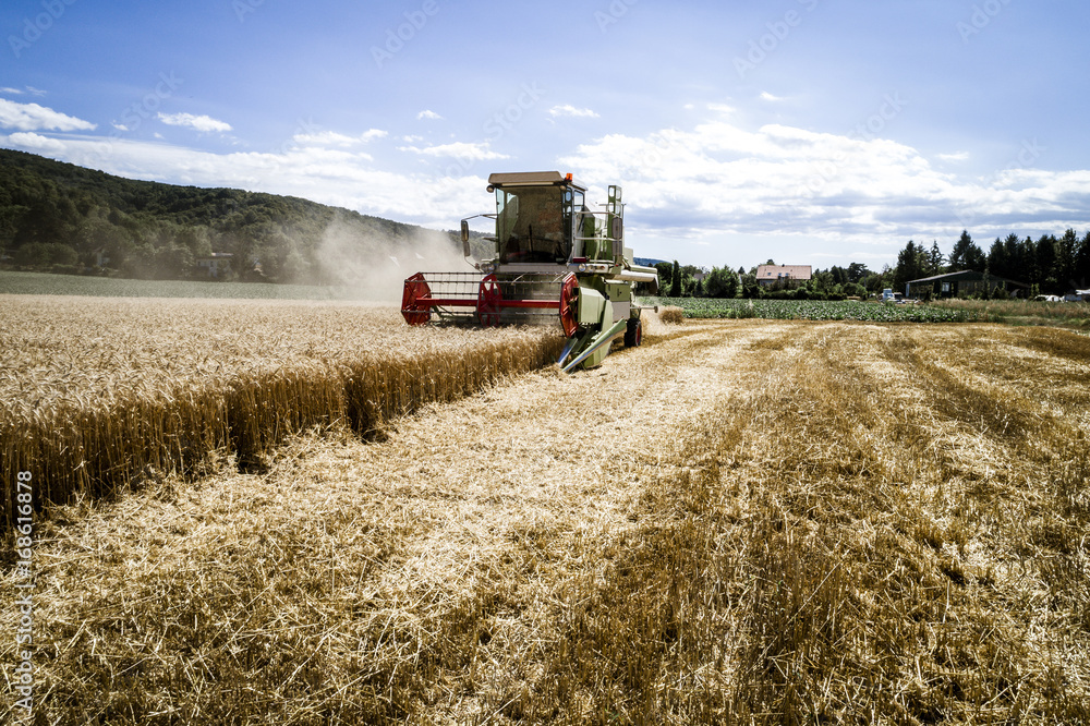 Φωτογραφία Green combine harvester harvesting wheat on a field in Austria in summer