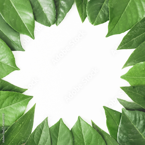 Round frame of green leaves. Creative layout of leaves on white background. Flat lay. Top view © artifirsov