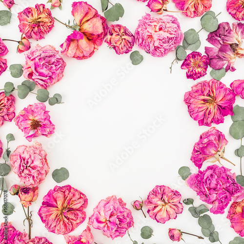 Floral round frame with pink roses and eucalyptus isolated on white background, Flat lay, Top view