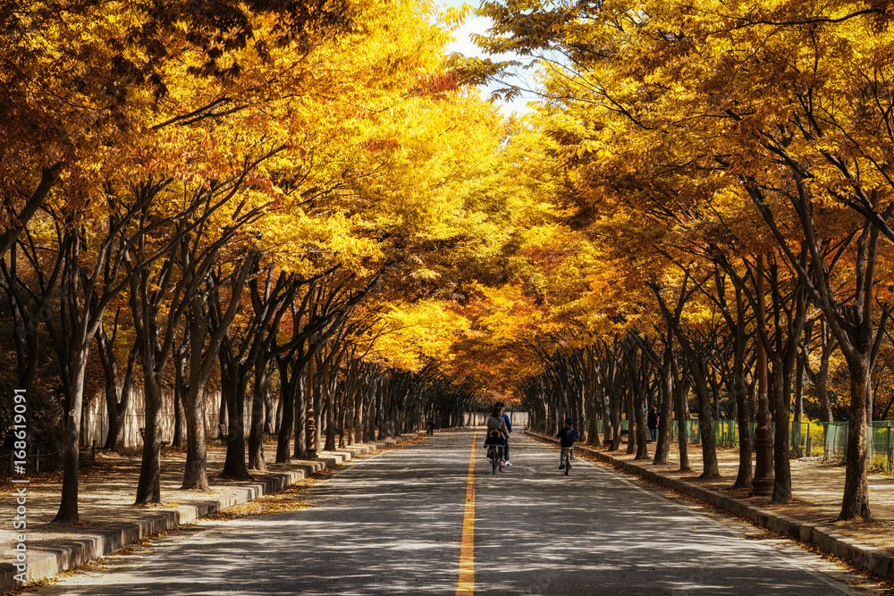 Naklejka premium Incheon grand park family on bike