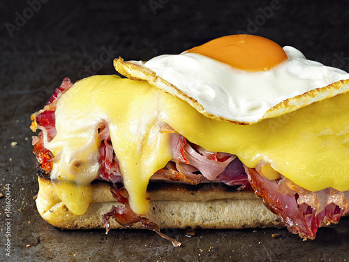 rustic french sandwich croque madam