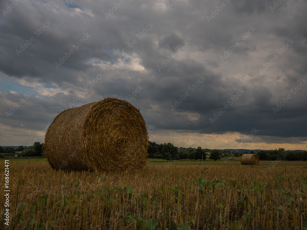 beautiful panorama of the landscape