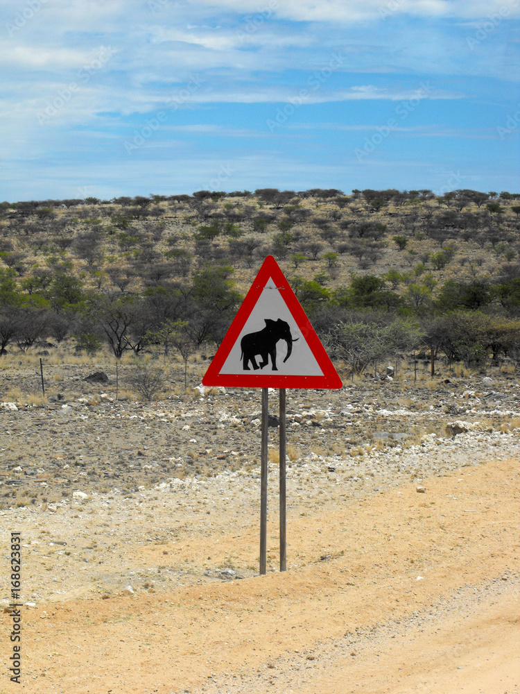 Desert Elephants Warning Sign, Namibia