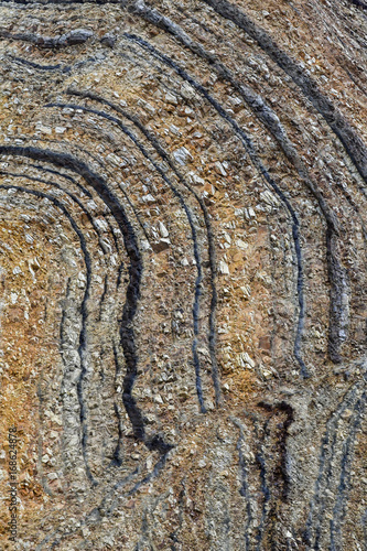 Very rare layers of prehistoric rock sediment found on the unique island of Fur in northern Denmark