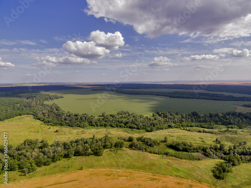 forest top view.