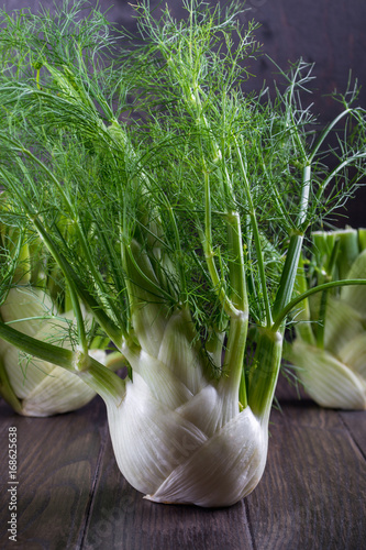 Raw fennel bulbs with green stems and leaves, ready to cook on dark wooden background