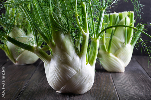 Raw fennel bulbs with green stems and leaves, ready to cook on  dark wooden background