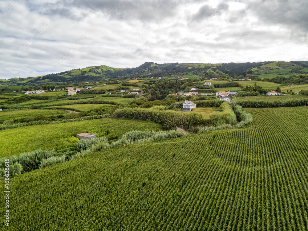 Aerial view of Cornfields outside of the town of Ginetes on Sao Miguel Island in Portugal.