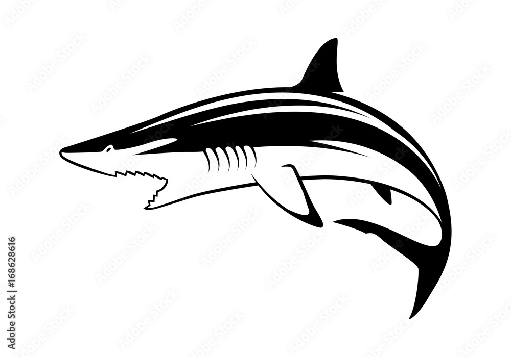 graphic shark on white background, vector